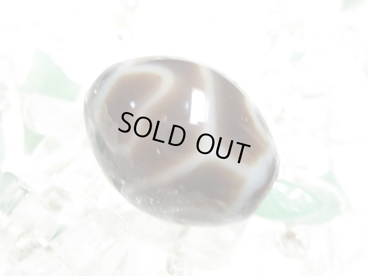 画像2: 黒地至純・亀甲長壽天珠 15mm (2)