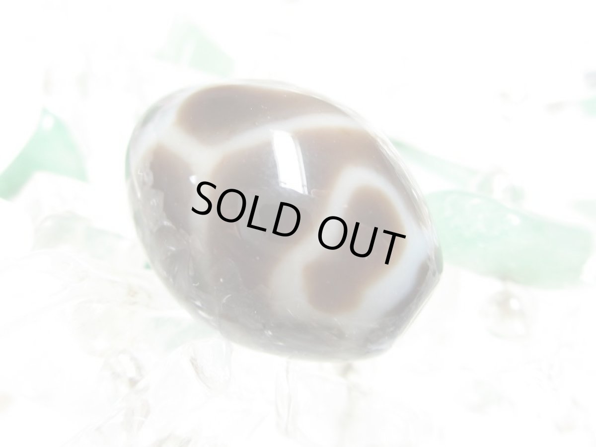 画像4: 黒地至純・亀甲長壽天珠 15mm (4)