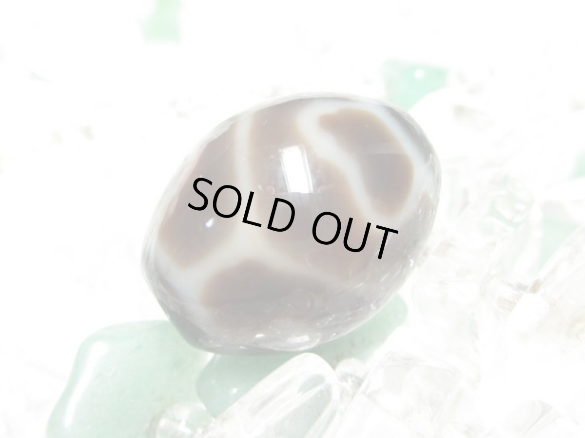 画像3: 黒地至純・亀甲長壽天珠 15mm (3)