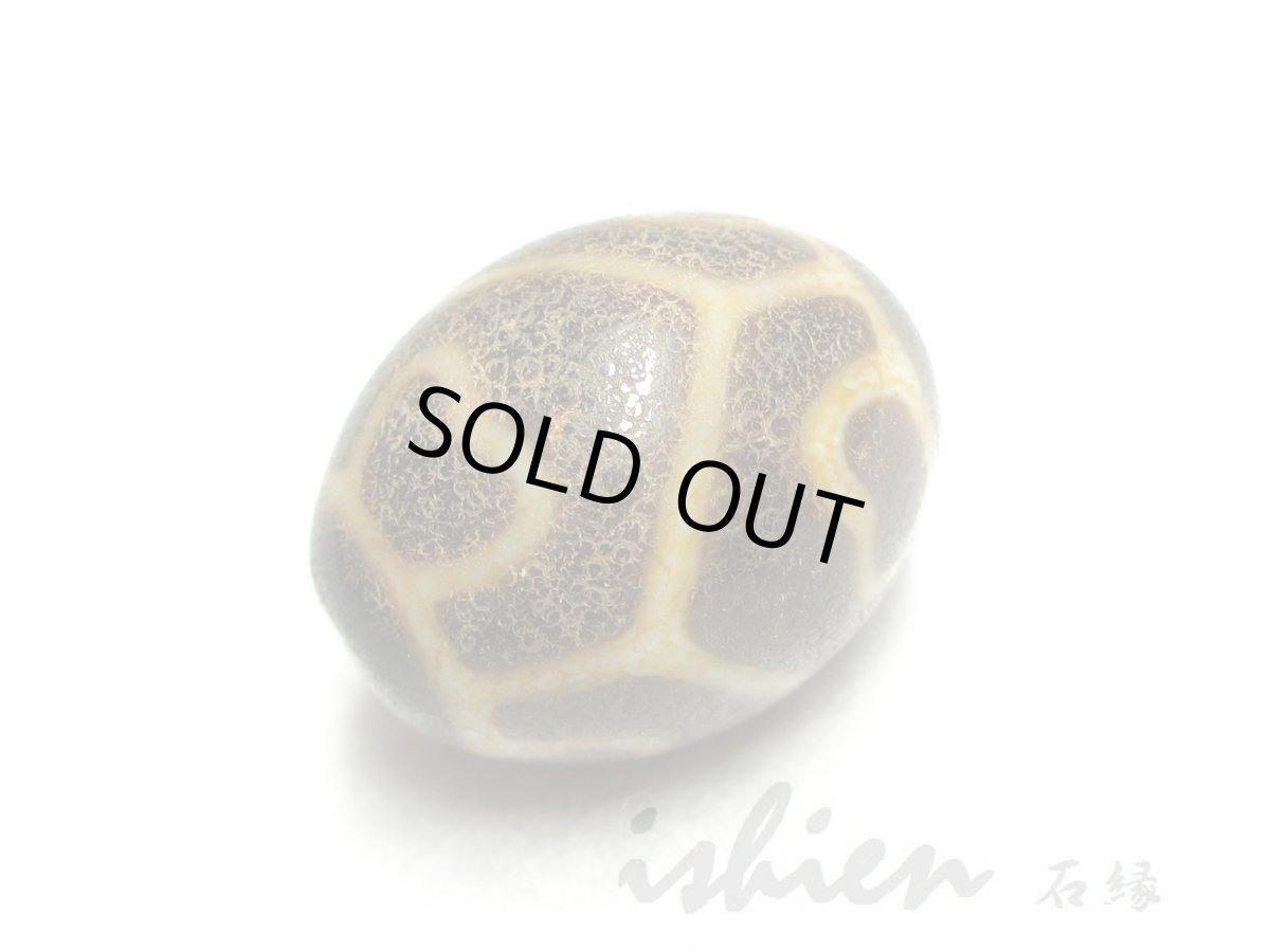 画像5: 至純風化紋・亀甲蓮花天珠 22mm (5)