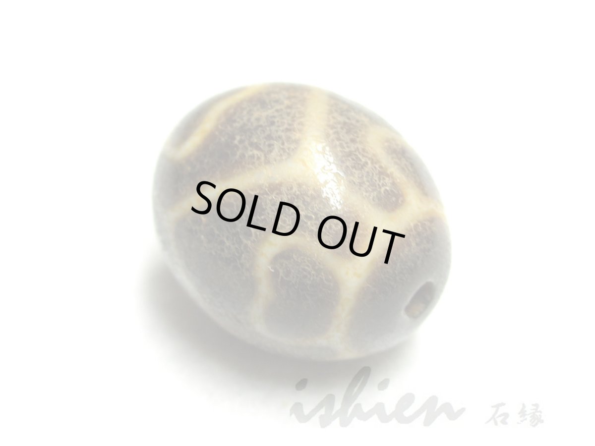 画像4: 至純風化紋・亀甲蓮花天珠 22mm (4)