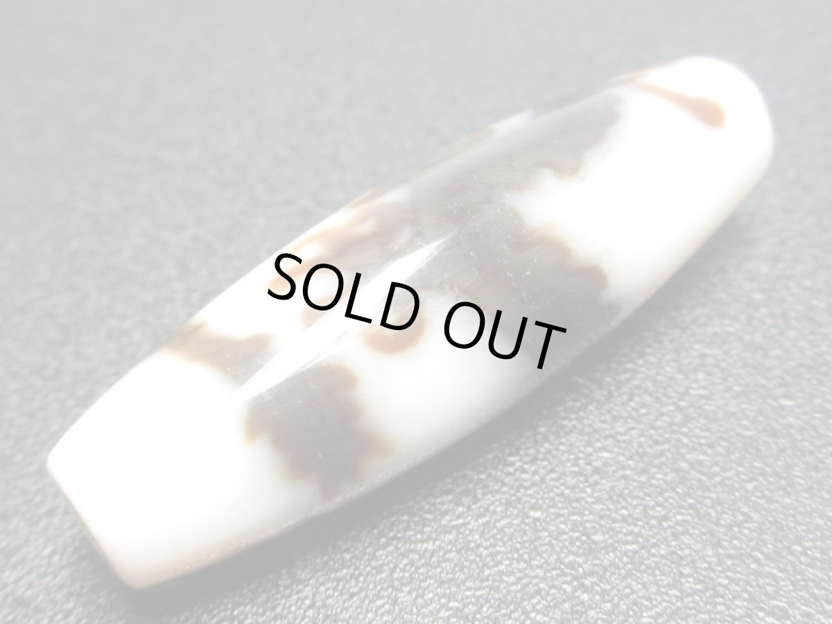 画像5: 白地至純・五爪龍神天珠 38mm (5)