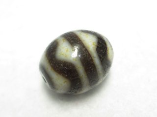 あずきちゃんセール❣️玉髄双虎牙天珠　4-192 虎牙天珠 - 石縁パワーストーン専門店