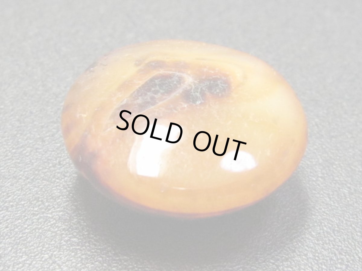 画像2: 羊眼天珠・板珠 (2)