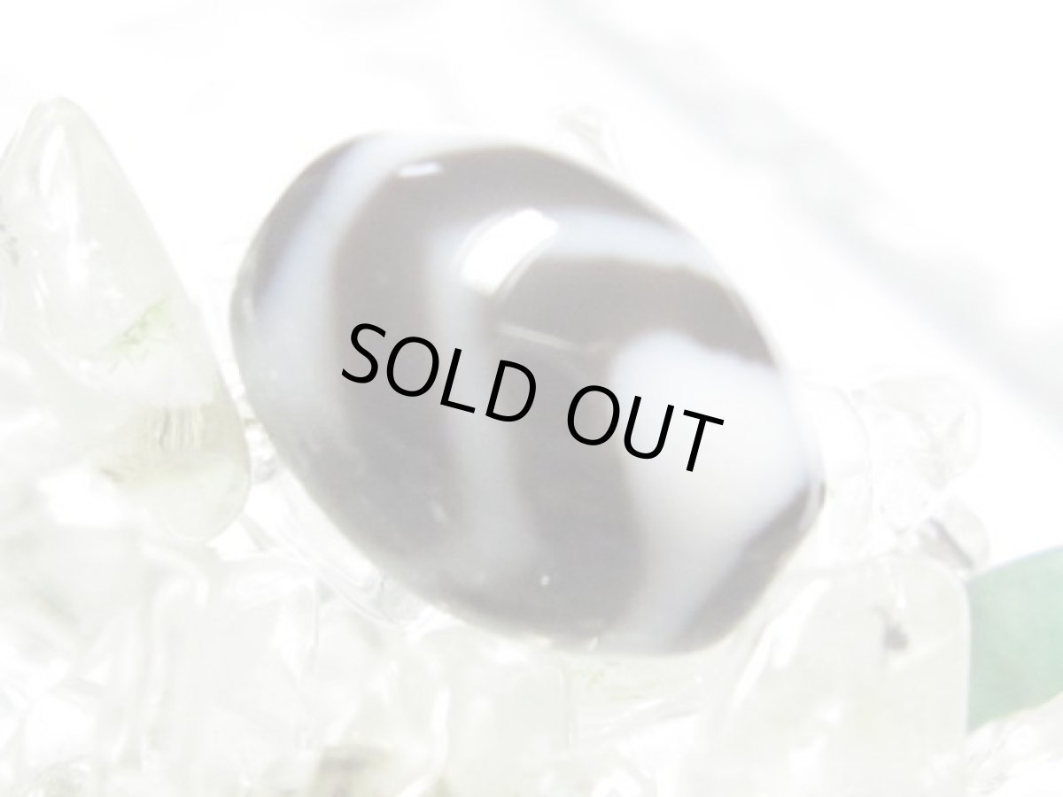 画像2: 黒地至純・雙虎牙天珠 12mm (2)